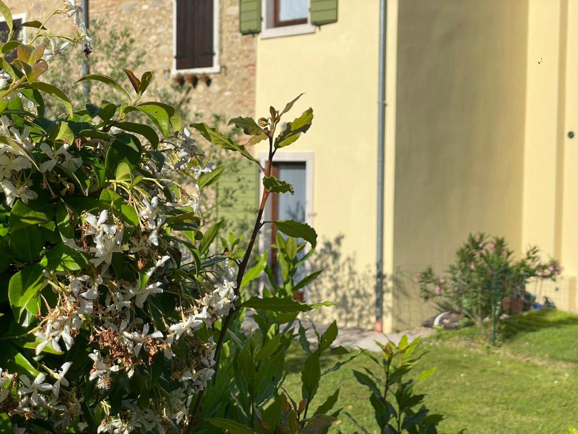 Casa Carlotte - Lago Di Garda Лацизе Екстериор снимка